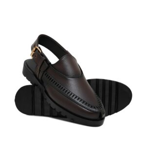 Brown Elegant Peshawari DZ59